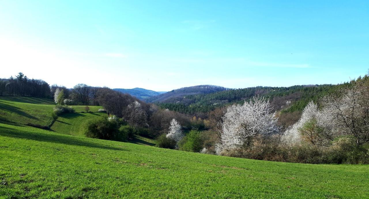 Ferienwohnung Lieblingsplatz Fuer 2 Nideggen Esterno foto